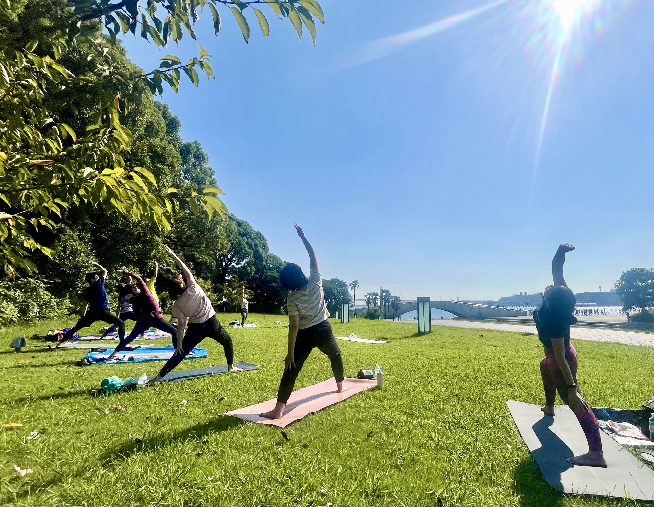 パークヨガ（2024/10)