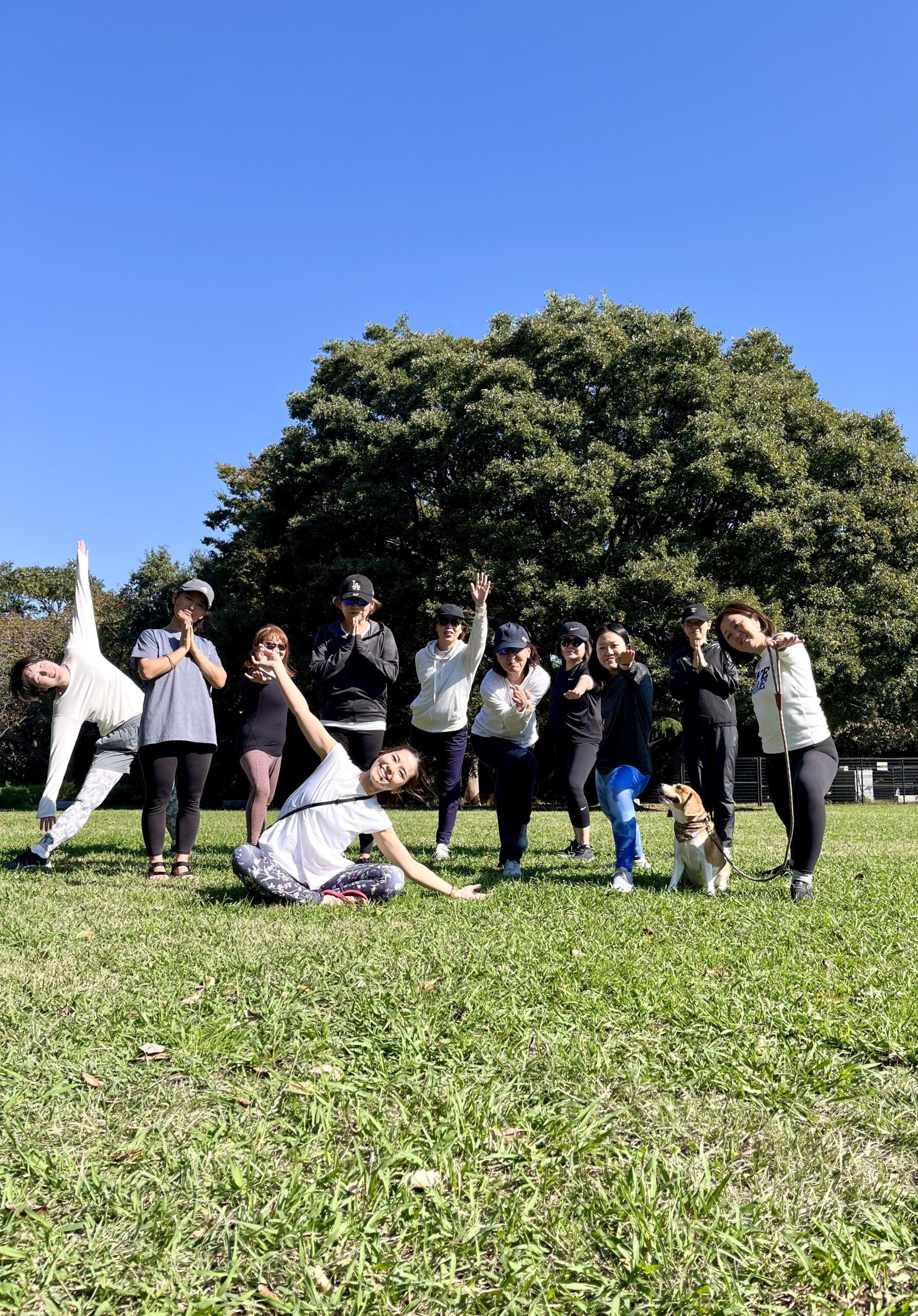 パークヨガ（2024/11)