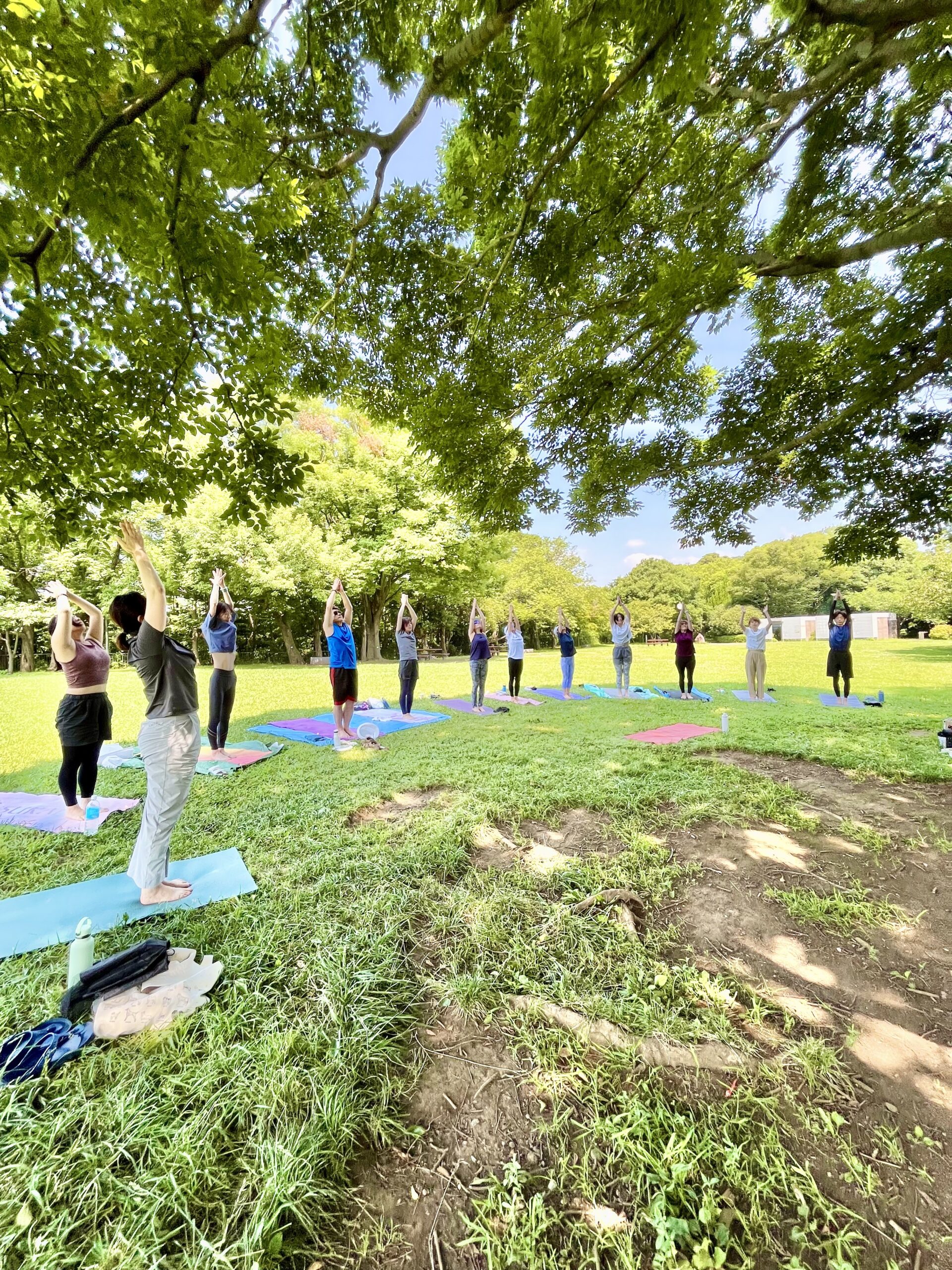 パークヨガ（2025/06)